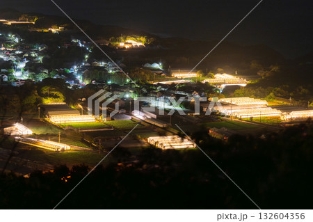 《愛知県》電照菊・ビニールハウスが輝く夜景 132604356
