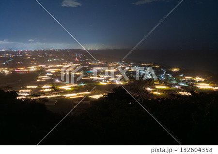 《愛知県》電照菊・ビニールハウスが輝く夜景 132604358