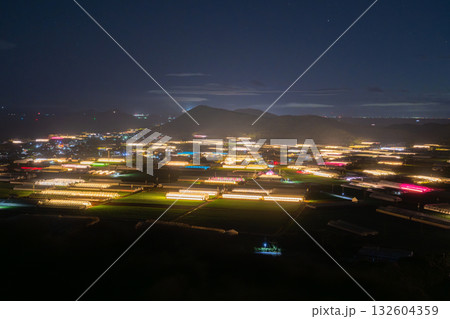 《愛知県》電照菊・ビニールハウスが輝く夜景 132604359