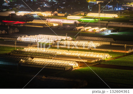 《愛知県》電照菊・ビニールハウスが輝く夜景 132604361