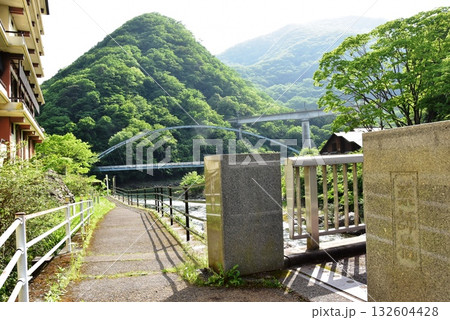 日光市川治温泉　男鹿川沿い遊歩道と薬師橋と山並み 132604428