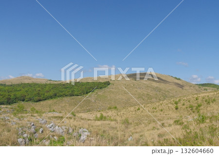 2025年春の枯れ草が残る秋吉台 2025年春の枯れ草が残る秋吉台 132604660