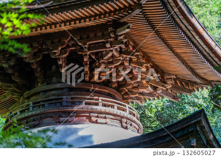 日龍峯寺高澤観音境内の景色　多宝塔 132605027