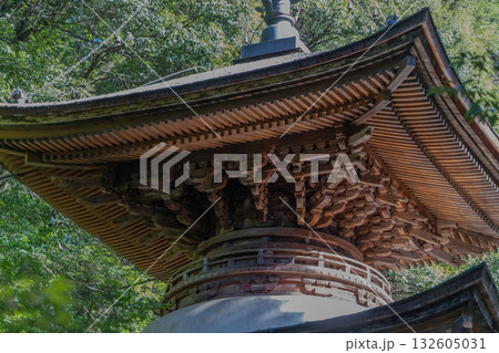日龍峯寺高澤観音境内の景色　多宝塔 132605031