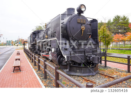 札幌市の農試公園のデゴイチ（D51 11） 132605416