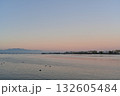 夕暮れに染まる湖で泳ぐ水鳥たち 132605484