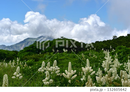 夏の白山の風景 132605642
