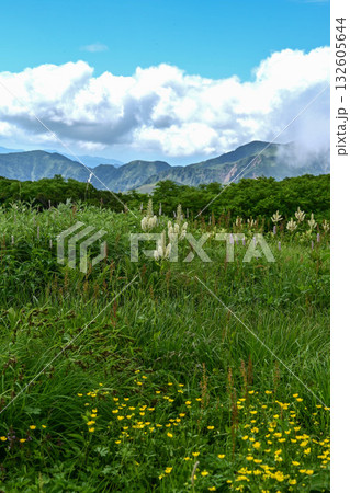 夏の白山の風景 夏の白山の風景 132605644