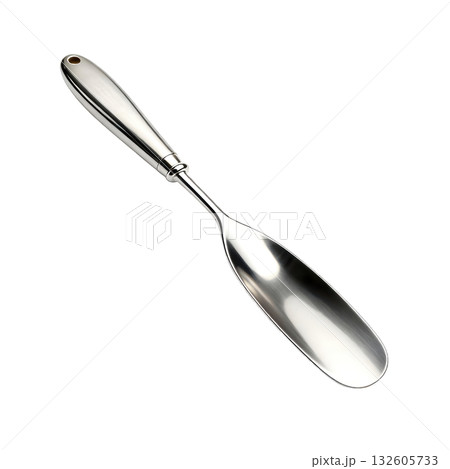 Classic silver metal shoehorn tool accessory. An elegant and vintage implement for helping to wear any shoe or boot 132605733