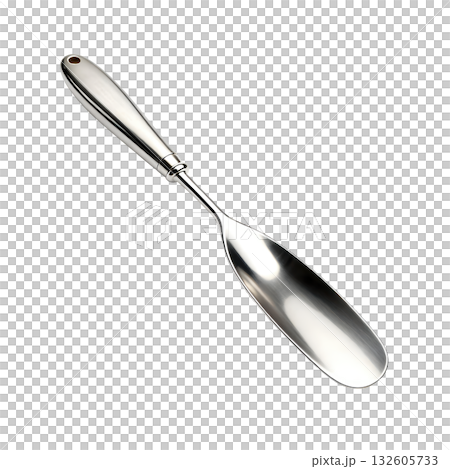 Classic silver metal shoehorn tool accessory. An elegant and vintage implement for helping to wear any shoe or boot 132605733