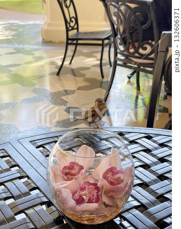 テーブルの上の花と小鳥 テーブルの上の花と小鳥 132606371