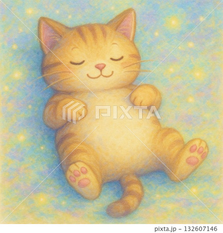 寝ている猫 132607146