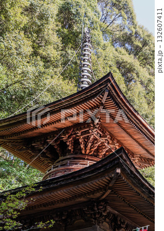 日龍峯寺高澤観音境内の景色 132607411
