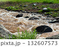 Mountain stream with muddy brown water flowing rapidly among stones and rocks. Sunlight reflects on waves and foam. Green grass and plants on the riverbank create a natural wild landscape 132607573