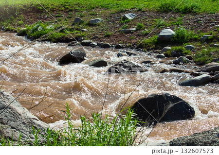 Mountain stream with muddy brown water flowing rapidly among stones and rocks. Sunlight reflects on waves and foam. Green grass and plants on the riverbank create a natural wild landscape Mountain stream with muddy brown water flowing rapidly among stones and rocks. Sunlight reflects on waves and foam. Green grass and plants on the riverbank create a natural wild landscape 132607573