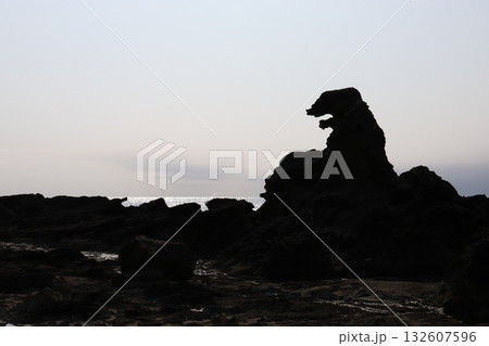 秋田　男鹿　塩瀬崎　ゴジラ岩 132607596