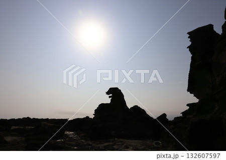 秋田　男鹿　塩瀬崎　ゴジラ岩 132607597