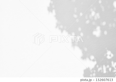 Leaves of Tree Shadow on White Concrete Wall Background 132607613