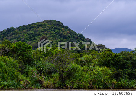 西表島で見つけた南国の豊かな大自然を感じる風景 西表島で見つけた南国の豊かな大自然を感じる風景 132607655