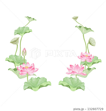 蓮華 蓮の花 極楽浄土　フレーム　水彩 イラスト 132607729