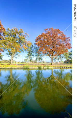 The Beauty of Autumn Reflections in a Serene and Picturesque Park Landscape Setting The Beauty of Autumn Reflections in a Serene and Picturesque Park Landscape Setting 132607958