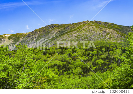 小田越付近から望む早池峰山 132608432