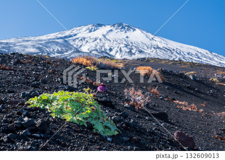 富士山須走登山口から幻の滝方面からのから富士山 132609013