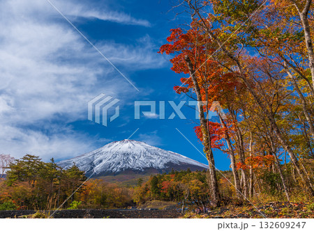 小山町須走五合目口に向かうふじあざみラインから初冠雪の富士山と紅葉 小山町須走五合目口に向かうふじあざみラインから初冠雪の富士山と紅葉 132609247