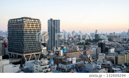 池袋のタワーマンションからの展望 池袋のタワーマンションからの展望 132609294