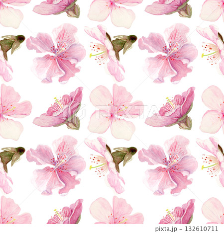 Sakura flowers seamless pattern watercolor, pink tones, hand-painted in natural botanical style isolated on white background. Perfect for wedding invitations, spring cards, packaging, textile design. 132610711