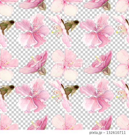 Sakura flowers seamless pattern watercolor, pink tones, hand-painted in natural botanical style isolated on white background. Perfect for wedding invitations, spring cards, packaging, textile design. 132610711