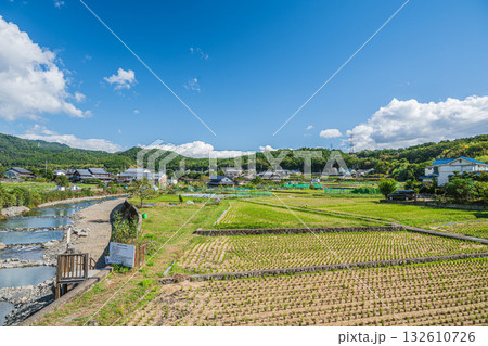 高槻市原地区の田園風景 132610726