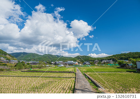 高槻市原地区の田園風景 132610731