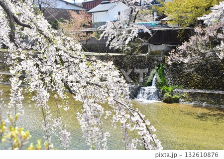日本の岐阜県の高山市　中心部を流れる宮川と周辺の街並み　満開の桜と美しい新緑 132610876