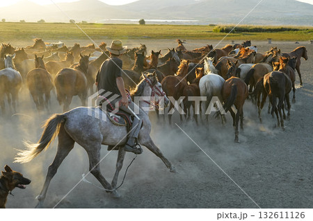 馬群を追う牧童 132611126
