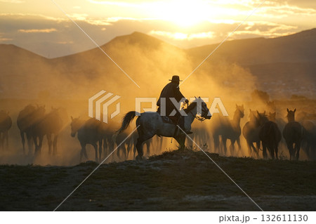 馬群を追う牧童 132611130