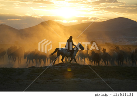 馬群を追う牧童 132611131