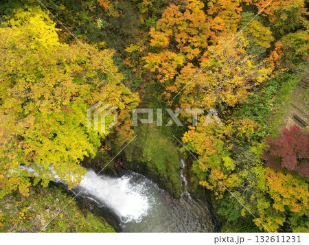 紅葉の銀山温泉の渓流 空撮 紅葉の銀山温泉の渓流 空撮 132611231