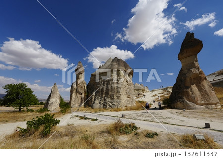 カッパドキアの風景 132611337