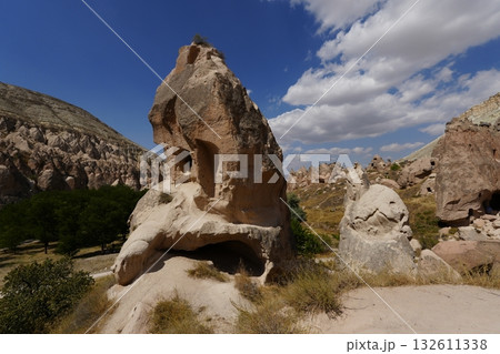 カッパドキアの風景 カッパドキアの風景 132611338