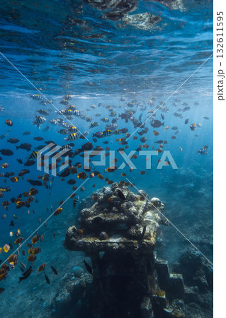 Tropical fish swimming around an underwater temple in clear blue ocean 132611595