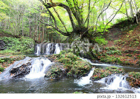 龍神滝 雨乞いの神、龍神様を祀る滝/福島県 南会津町 龍神滝 雨乞いの神、龍神様を祀る滝/福島県 南会津町 132612513