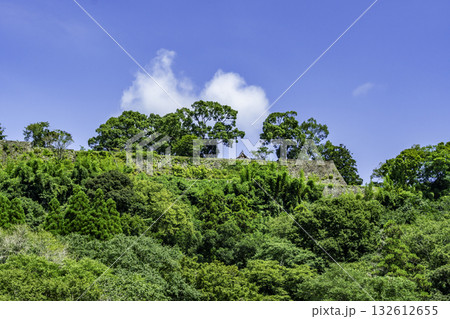 竹田の町並み　岡城跡　大分県竹田市 132612655