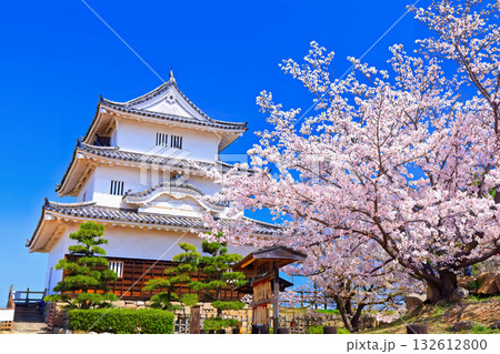 【香川県】桜咲く春の丸亀城（現存天守と石垣の名城） 132612800
