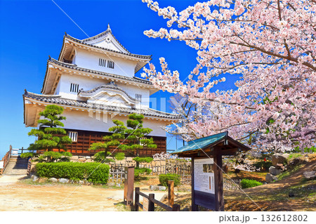 【香川県】桜咲く春の丸亀城（現存天守と石垣の名城） 132612802