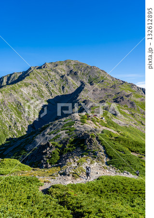 西農鳥岳への登山道から見る間ノ岳　南アルプス白峰三山の間ノ岳と農鳥岳登山 132612895