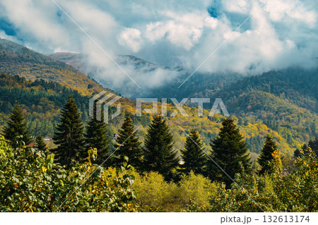 A mountain range covered in trees and clouds A mountain range covered in trees and clouds 132613174