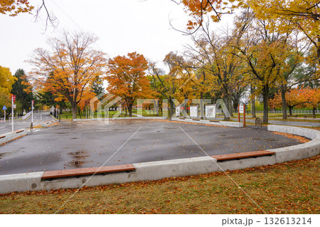 農試公園・交通コーナー(2025年10月末 農試公園・交通コーナー(2025年10月末 132613214