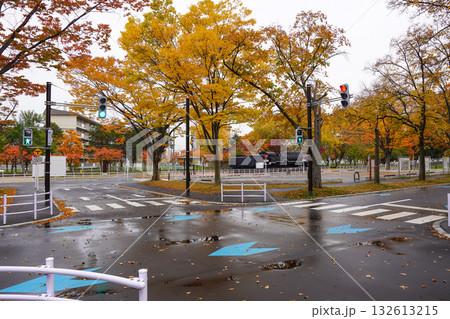 農試公園・交通コーナー(2025年10月末 農試公園・交通コーナー(2025年10月末 132613215