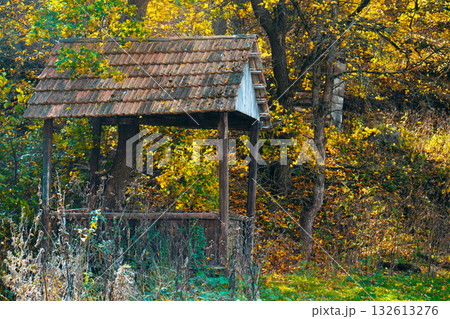 A small wooden structure with a roof sits in a forest A small wooden structure with a roof sits in a forest 132613276